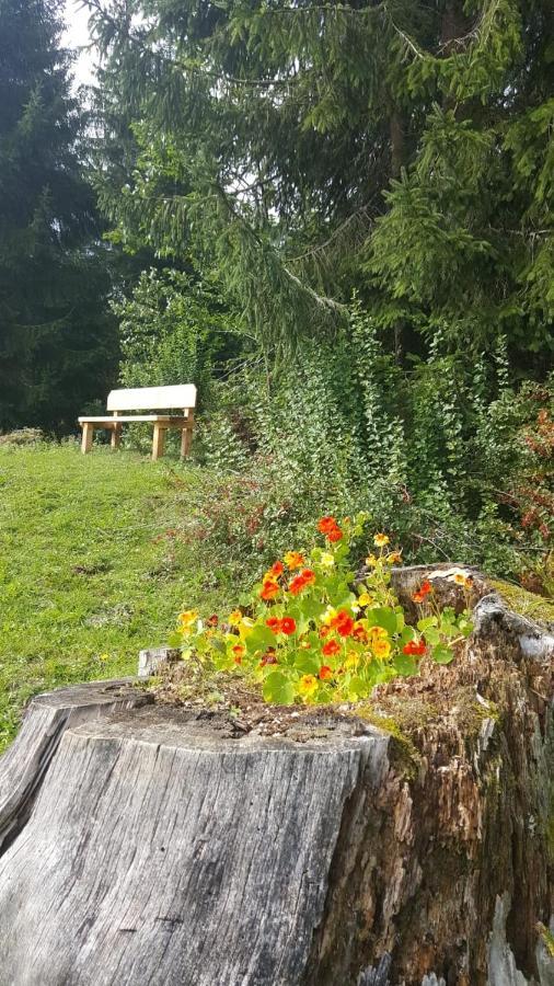 Appartement Leh Annaberg im Lammertal Εξωτερικό φωτογραφία