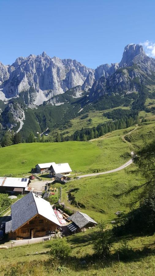 Appartement Leh Annaberg im Lammertal Εξωτερικό φωτογραφία